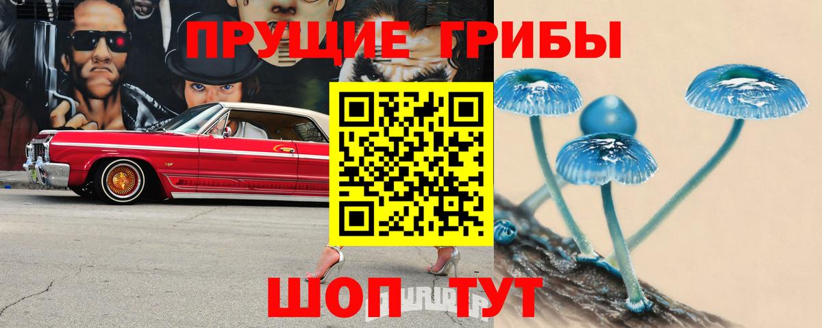 Галлюциногенные грибы MAGIC MUSHROOMS  Вход с VPN  Галлюциногенные грибы Cubensis  Азов 