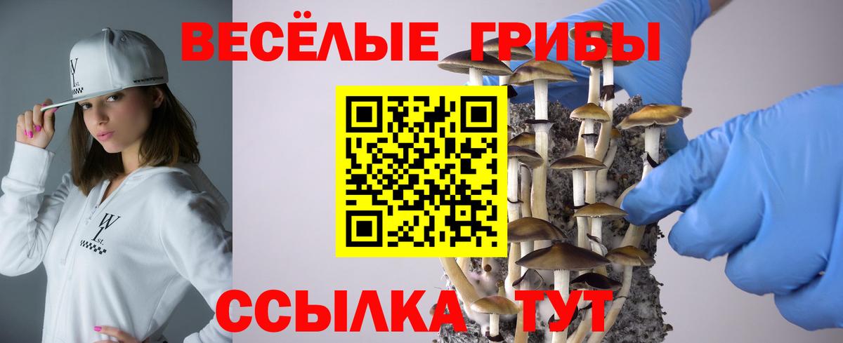 Псилоцибиновые грибы ЛСД Азов